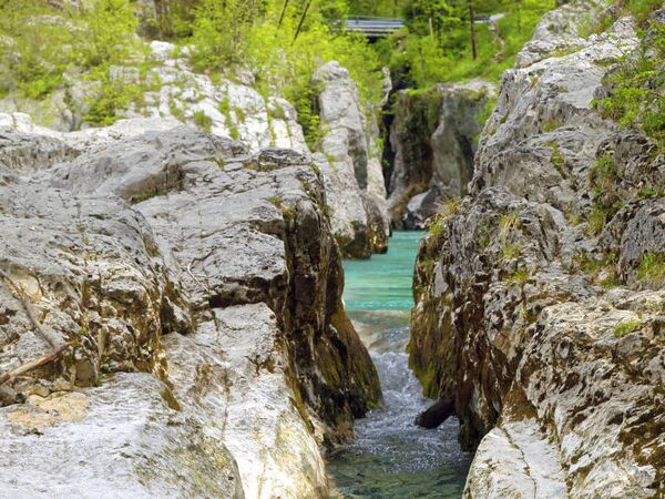 Blick in die wilde Soča