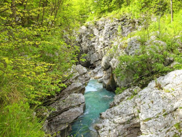 Blick in die wilde Soča