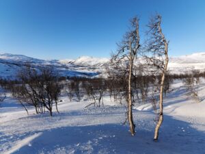 Blick über die Hardangervidda - Panoramabild starten