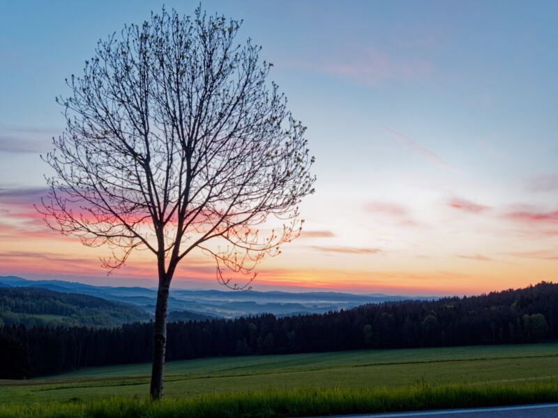 Blick von der Zhůří Höhe - Böhmerwald - Tschechien