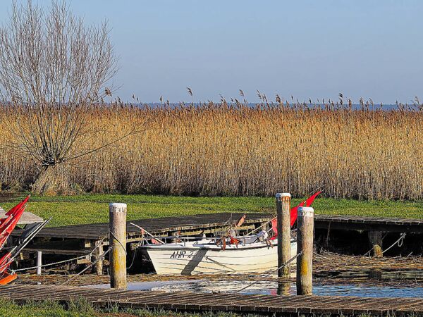 Boddenblick