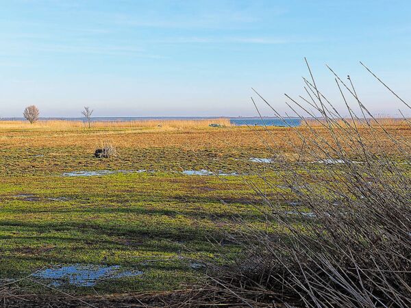 Boddenblick